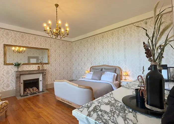 Bed & Breakfast Chateau De Bruges Lapeyrouse
